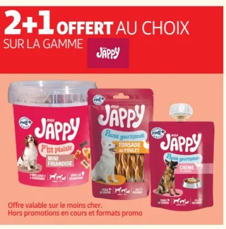 Gamme Riga Jappy