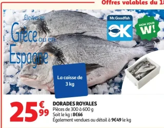 Dorades royales