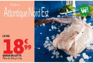 Queue de lotte