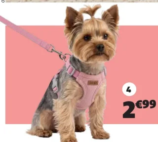 Harnais pour animal Lucky GiFi