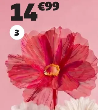 GiFi Fleur tige pavot