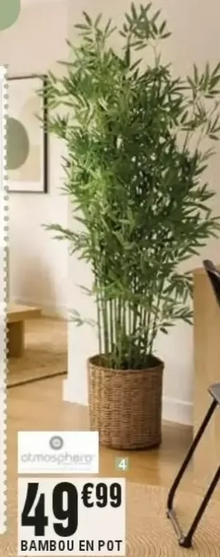 Bambou en pot Atmosphera