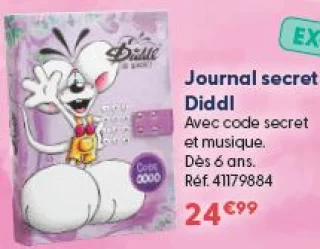Journal secret Diddl