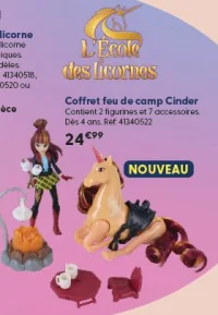 Coffret feu de camp Cinder L'École des Licornes