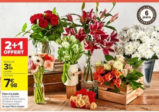 Foire à la botte - fleurs variées
