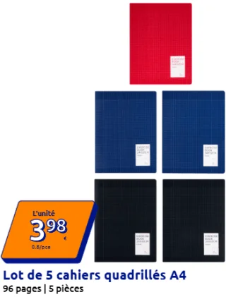 Lot de 5 cahiers quadrillés A4