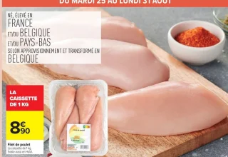 Filet de poulet