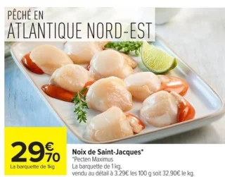 Noix de Saint-Jacques*