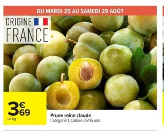 Prune reine claude