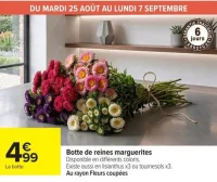 Botte de reines marguerites