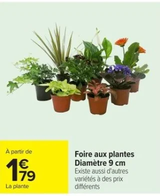 Foire aux plantes