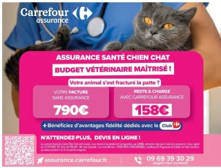 Assurance Santé Chien Chat Carrefour Assurance