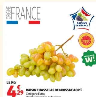 Raisin Chasselas de Moissac AOP