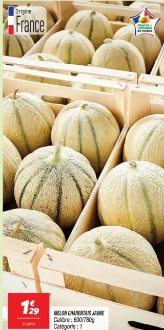 Melon charentais jaune