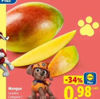 Mangue