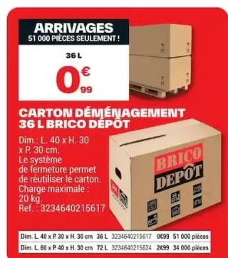 Carton déménagement 36 L Brico Dépôt
