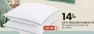 Lot d'oreillers plumes d'oie