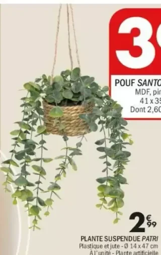 PLANTE SUSPENDUE PATRI