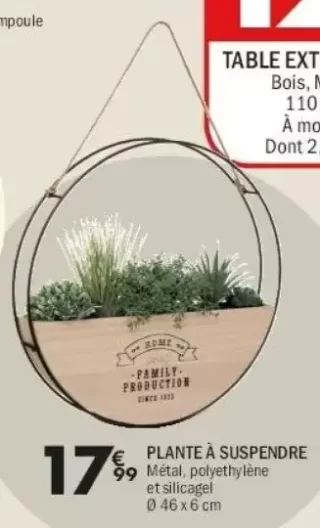 Plante à suspendre