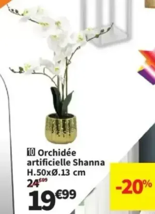 Orchidée artificielle Shanna H.50xØ.13 cm