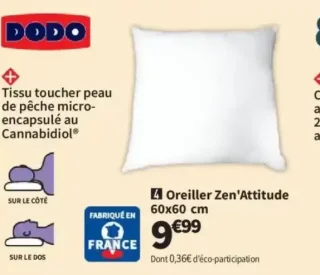 Oreiller Zen'Attitude 60x60 cm Dodo