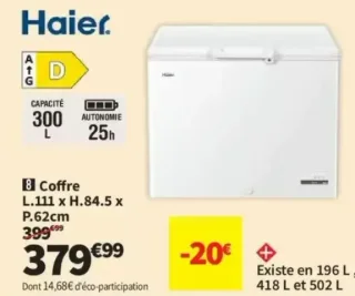 Congélateur coffre Haier HCE301D