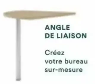 Angle de liaison