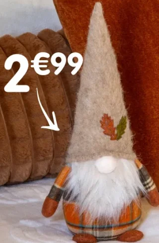 Gnome à poser COSY season