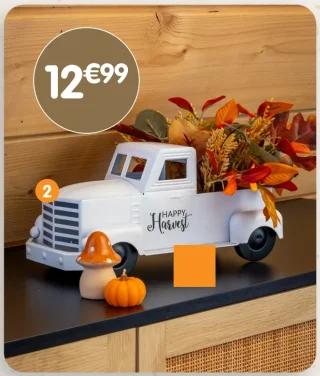 Voiture avec composition florale Happy Harvest