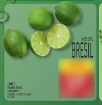Limes