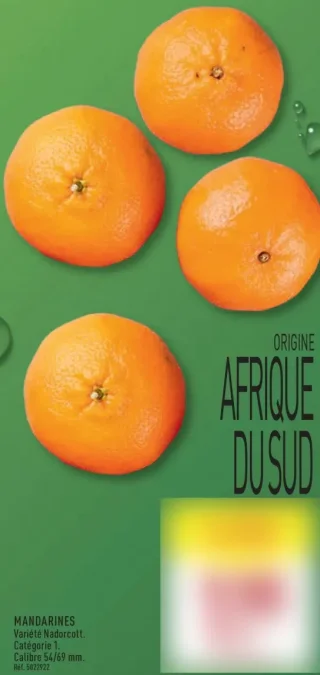 Mandarines Nadorcott