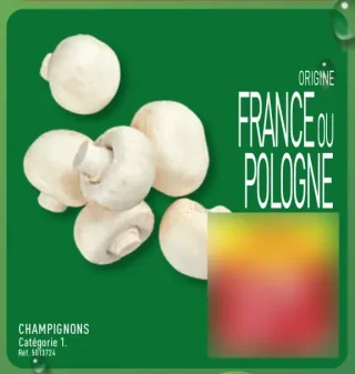 Champignons