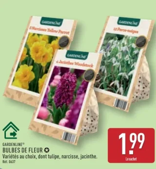 Bulbes de fleurs Gardenline