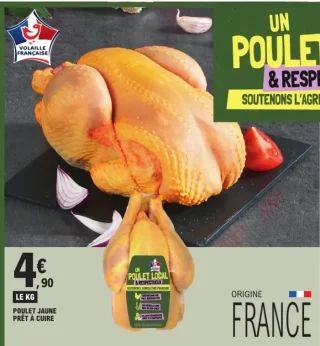 Poulet jaune prêt à cuire