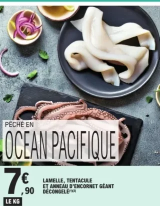 Lamelle, tentacule et anneau d'encornet géant décongelé