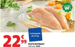FILETS DE POULET MON JOUR W!