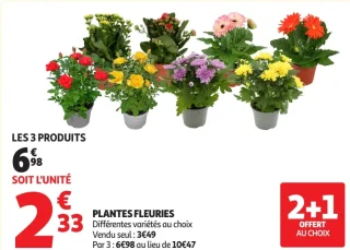 PLANTES FLEURIES