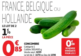 Concombre