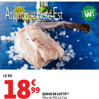 Queue de lotte
