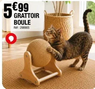 Grattoir Boule