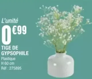 TIGE DE GYPSOPHILE