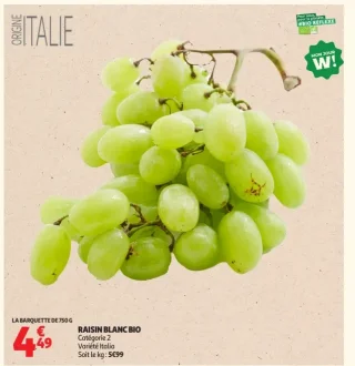 Raisin Blanc Bio