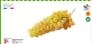 Raisin Chasselas AOP Moissac