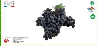 Raisin Muscat de Hambourg Filière Auchan "Cultivons le Bon"