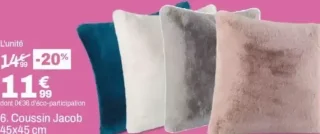 Coussin Jacob