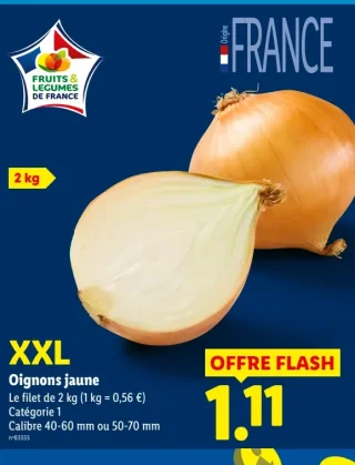 Oignons jaune XXL