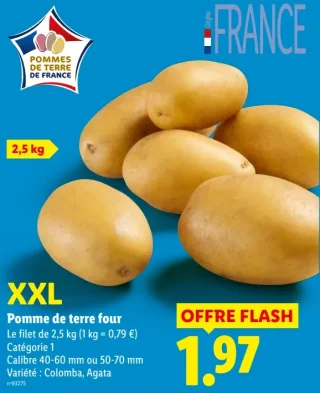 Pomme de terre four XXL