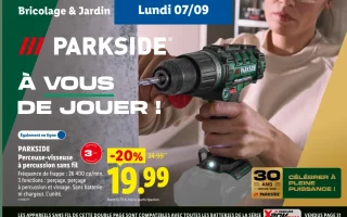 PARKSIDE Perceuse-visseuse à percussion sans fil