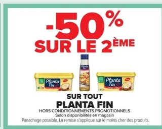Planta Fin