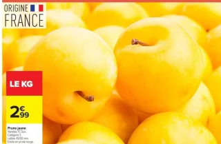 Prune jaune TC Sun.